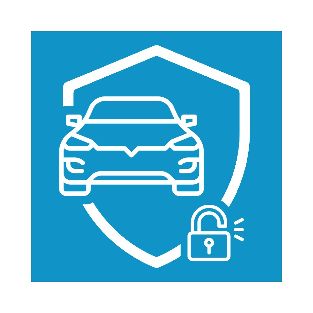 Thinktool Renault SGW Unlocking Service